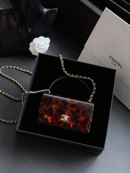 Chanel Tortoiseshell Acrylic  Flap Bag