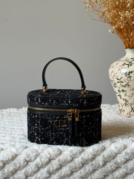 Christian Dior Vanity Case Bag