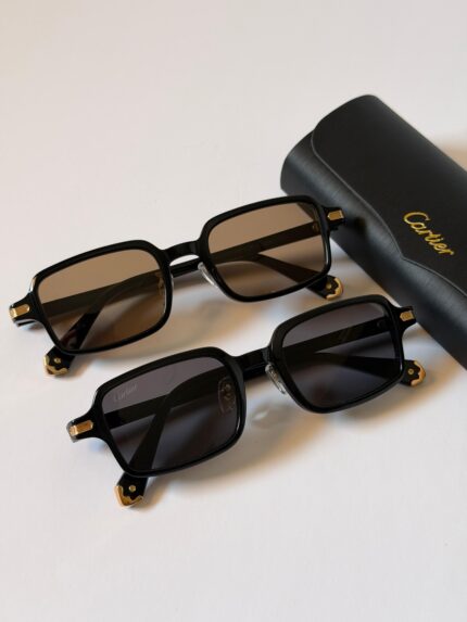 Cartier Square Acetate Sunglasses