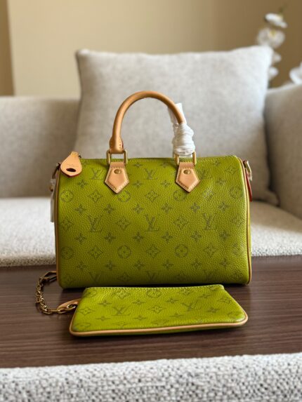 Louis Vuitton Speedy 25 Bag