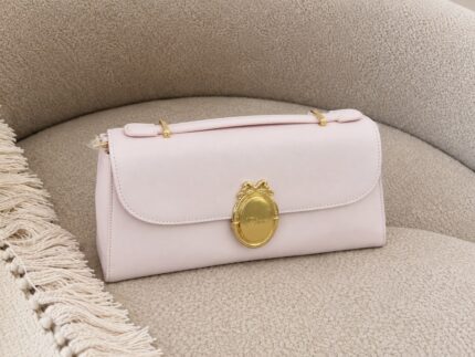 Christian Dior Oval Frame Bags
