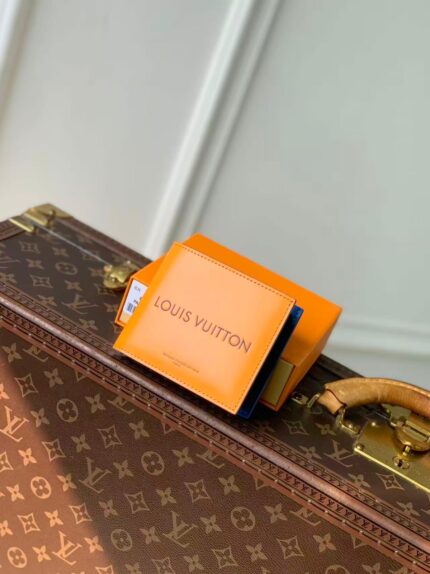 Louis Vuitton Pocket Organizer