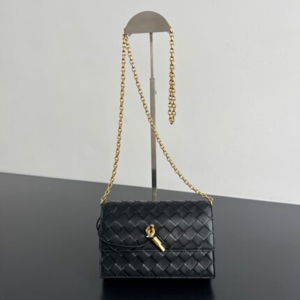 Bottega Veneta Andiamo Chain Bags