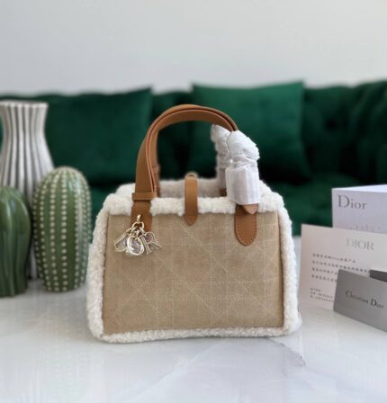 Christian Dior Mini Tote Bag