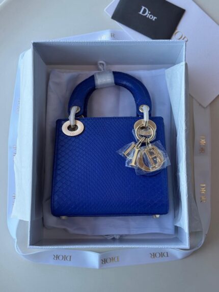 Christian Dior Saddle Bags