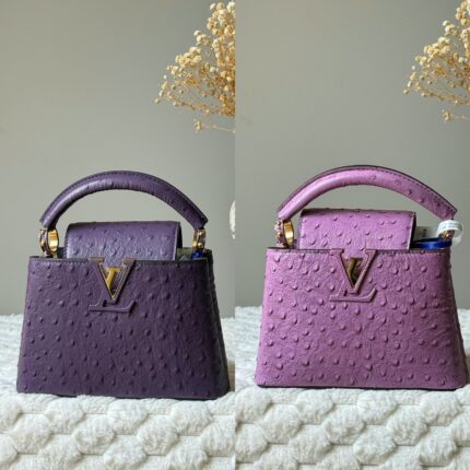 Louis Vuitton Capucines Bags